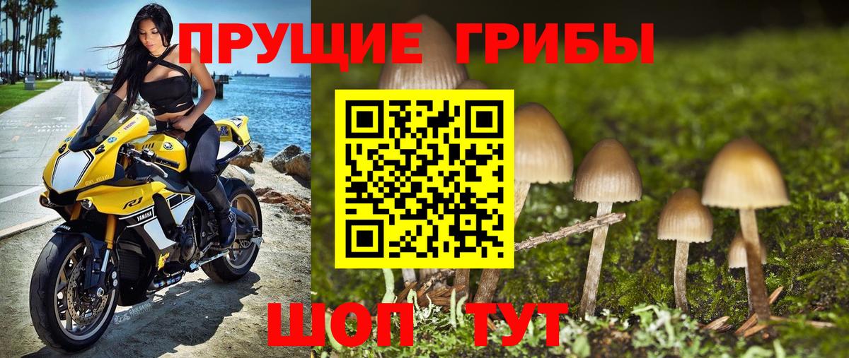 Галлюциногенные грибы прущие грибы  Вход с VPN  Елабуга 