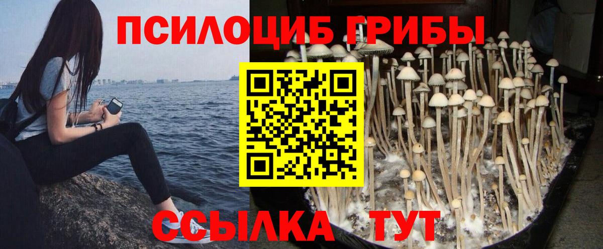 Галлюциногенные грибы мухоморы Елабуга